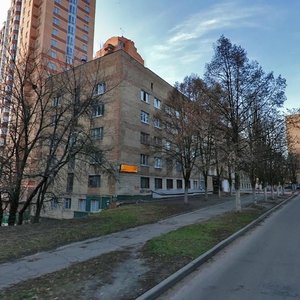 Litnia Street, 25, Kyiv: photo