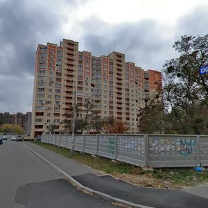 Mykhaila Lomonosova Street, 83А, Kyiv: photo