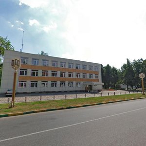 Shkolnaya Street, No:77, Vidnoye: Fotoğraflar