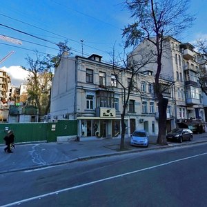 Velyka Vasylkivska Street, 95, Kyiv: photo