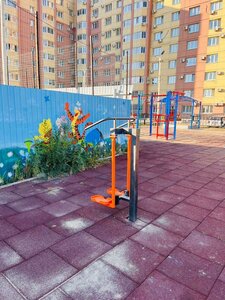 Благовещенск, Тополиная улица, 82: фото