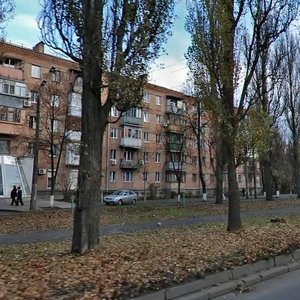 Vatslava Havela Boulevard, 83, Kyiv: photo