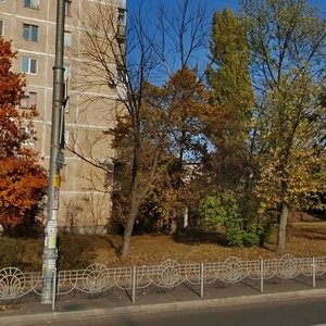 Perova Boulevard, 12/92 ، كييف: صورة
