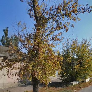 Херсон, Улица Баку, 8: фото