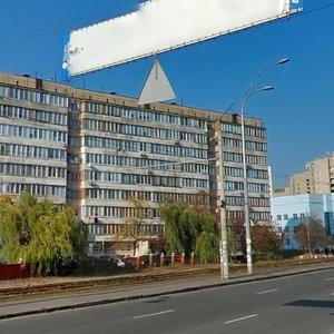 Marshala Malynovskoho Street, 6Б, Kyiv: photo