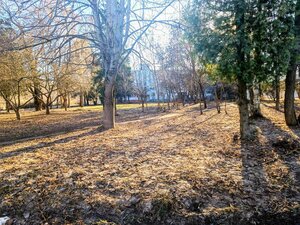 Mihasia Lynkova Street, 133, : foto