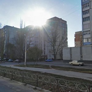 Белая Церковь, Бульвар Михаила Грушевского, 44: фото