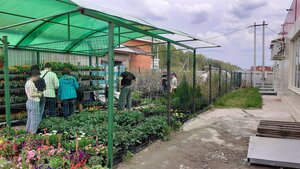 Владимирская область, Улица Сельская Новь, 45/1: фото