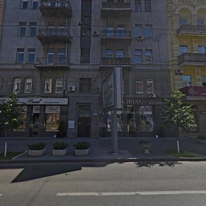 Saksahanskoho Street, 29, Kyiv: photo