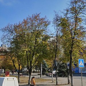 Vulytsia Yentuziastiv, No:7, Zaporoje: Fotoğraflar