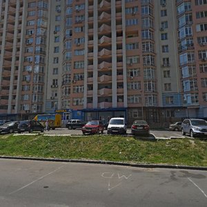 Mykhaila Lomonosova Street, 52А, Kyiv: photo