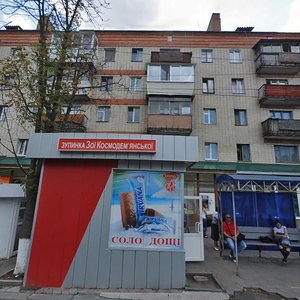 Vulytsia Pyrohova, 9, Vinnytsia: photo