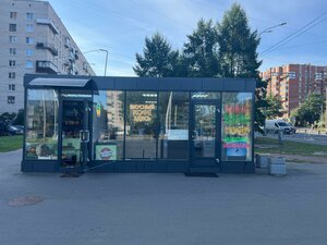 Toreza Avenue, 38А, Saint Petersburg: photo