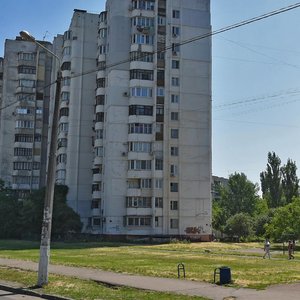 Prospekt Dobrovolskoho, 114, : foto