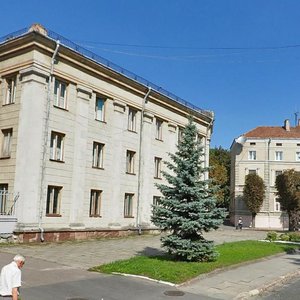 Bulvar Tarasa Shevchenka, 6, Ternopil: photo