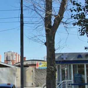 Leningradskaya Street, 71/1, Novosibirsk: photo