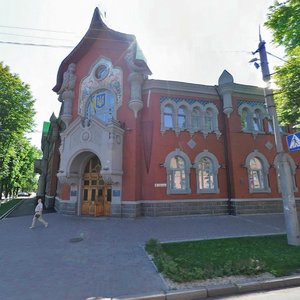 Vulytsia Sobornosti, 39 ، : صورة