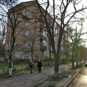 Kateryny Bilokur Street, 1, Kyiv: photo