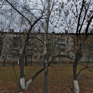 Тула, Курковая улица, 24: фото
