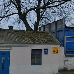 Volynska Street, 43, Kyiv: photo