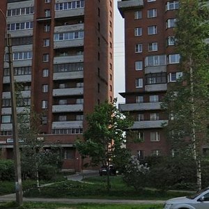 Dalnevostochniy Avenue, 69к6, Saint Petersburg: photo