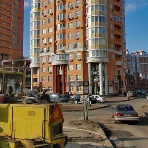 Marshala Tymoshenka Street, 21b3, Kyiv: photo