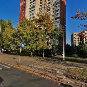 Raiduzhna Street, 1, Kyiv: photo