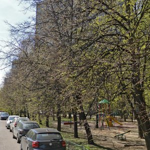 Leninsky Avenue, 102, Moscow: photo