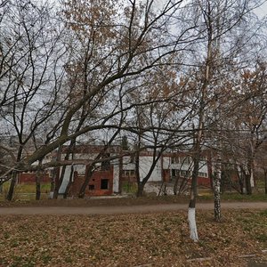 Тула, Улица Максимовского, 5: фото