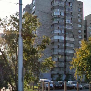 Serebrennikovskaya Street, 4/2 ، نوفوسيبيرسك: صورة