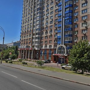 Viacheslava Chornovola Street, 20, Kyiv: photo