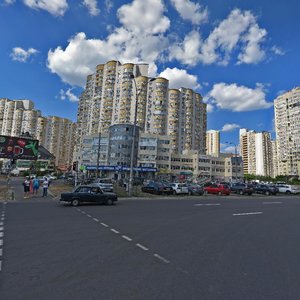 Dniprovska Embankment, 25А, Kyiv: photo