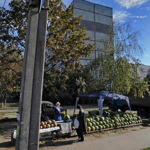 Vulytsia Petra Bolbochana, 11, Kharkiv: photo