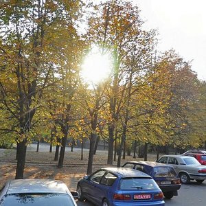 Vulytsia Peremohy, 105А, Zaporizhia: photo