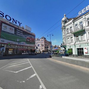 Velyka Vasylkivska Street, 10, : foto