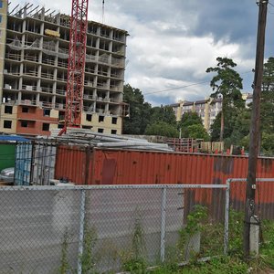 Malaya Komitetskaya Street, 17, Korolev: photo
