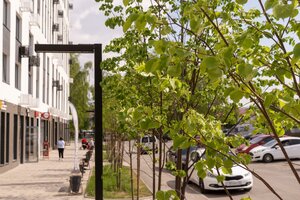 6th Microdistrict, 110к1, : foto