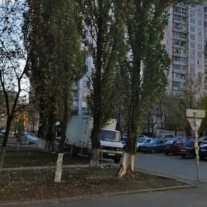 Obolonskyi Avenue, 14А, Kyiv: photo