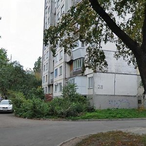 Mytropolyta Vasylia Lypkivskoho Street, 28, Kyiv: photo