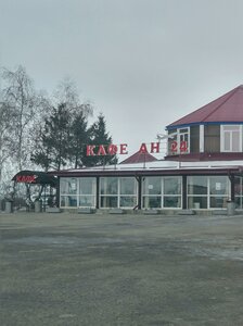 Липецкая область, М-4 Дон, 462-й километр, 2: фото