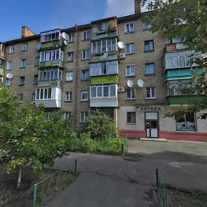 Sanatorna Street, 11, Kyiv: photo