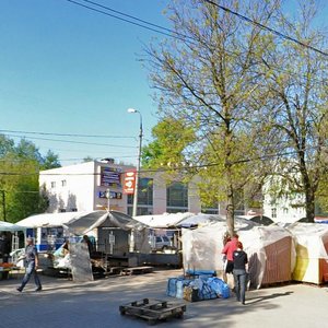 Schmidt Boulevard, 35, Tver: photo