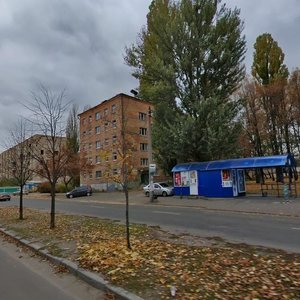 Mykhaila Lomonosova Street, 34, : foto