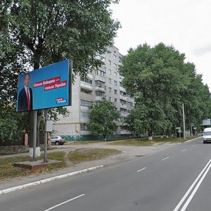 Bilohorodska vulytsia, 45, Boiarka: photo
