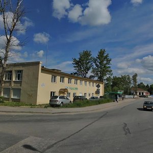 Voznesenskoye Highway, No:34, Kolpino: Fotoğraflar