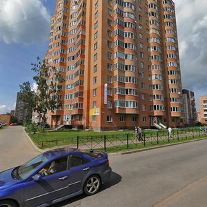 Aleksandrovskaya ulitsa, 79к2, Vsevolgsk: photo