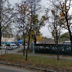 Pavla Tychyny Avenue, 18/1 ، كييف: صورة