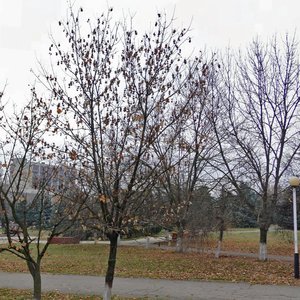 Pobedy Square, 1, : foto
