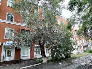 Bogdana Khmelnitskogo Street, 166 ، أومسك: صورة