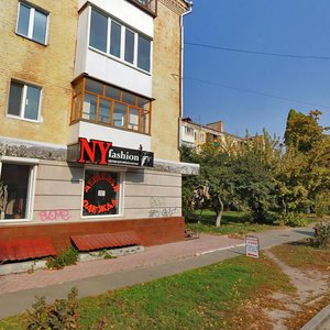 Vulytsia Kotsiubynskoho, 76, : foto